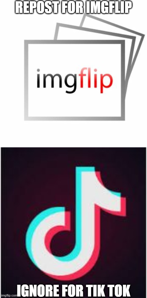 REPOST FOR IMGFLIP; IGNORE FOR TIK TOK | image tagged in imgflip,tik tok | made w/ Imgflip meme maker