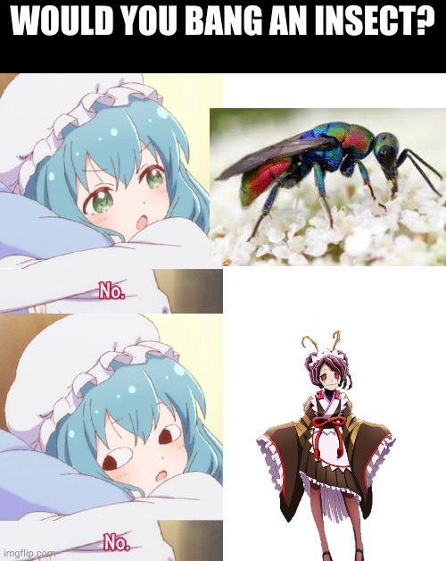 Entoma best girl | WOULD YOU BANG AN INSECT? | image tagged in mei no,overlord | made w/ Imgflip meme maker