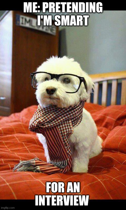 Intelligent Dog Meme | ME: PRETENDING I'M SMART; FOR AN INTERVIEW | image tagged in memes,intelligent dog | made w/ Imgflip meme maker