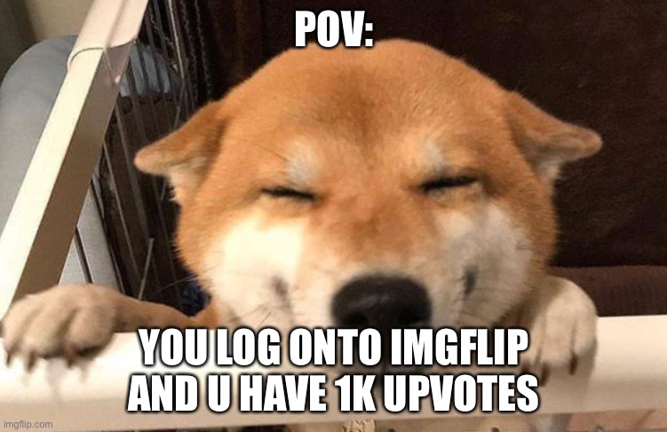 POV:; YOU LOG ONTO IMGFLIP AND U HAVE 1K UPVOTES | made w/ Imgflip meme maker