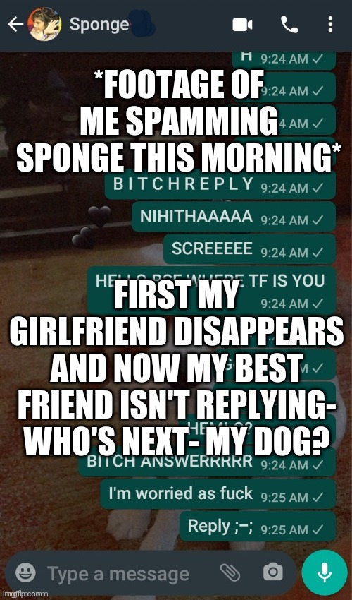 Srsly where tf are they | *FOOTAGE OF ME SPAMMING SPONGE THIS MORNING*; FIRST MY GIRLFRIEND DISAPPEARS AND NOW MY BEST FRIEND ISN'T REPLYING- WHO'S NEXT- MY DOG? | made w/ Imgflip meme maker
