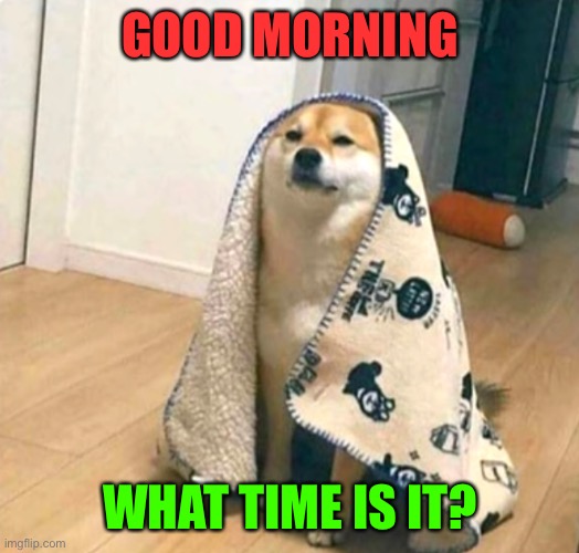 What time is it? | GOOD MORNING; WHAT TIME IS IT? | image tagged in dogs,good morning | made w/ Imgflip meme maker