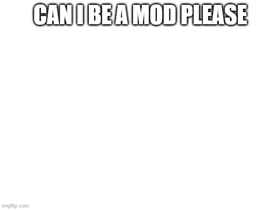 Blank White Template | CAN I BE A MOD PLEASE | image tagged in blank white template | made w/ Imgflip meme maker