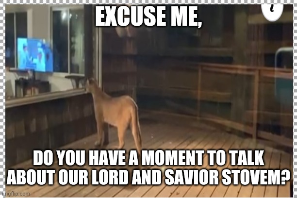 Stovem | EXCUSE ME, DO YOU HAVE A MOMENT TO TALK ABOUT OUR LORD AND SAVIOR STOVEM? | image tagged in cougar | made w/ Imgflip meme maker