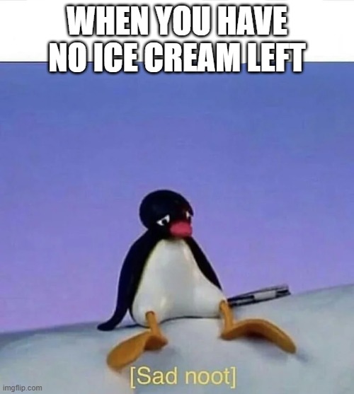 No ice cream = sad noot | WHEN YOU HAVE NO ICE CREAM LEFT | image tagged in sad noot,ice cream | made w/ Imgflip meme maker