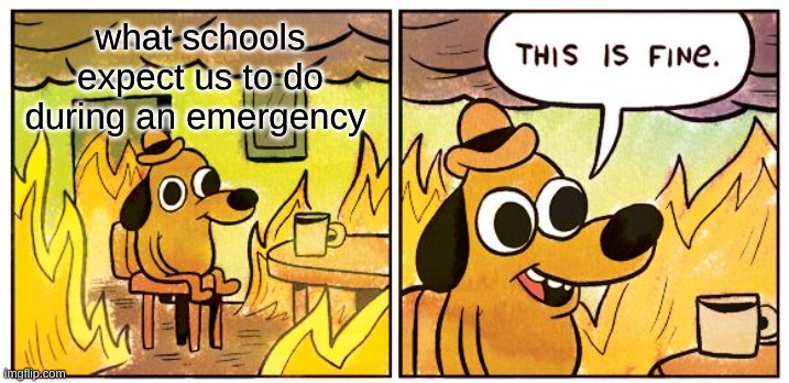The school is on fire... well that's normal | what schools expect us to do during an emergency | image tagged in memes,this is fine | made w/ Imgflip meme maker