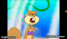 Mad Angry Grr Sandy - Imgflip