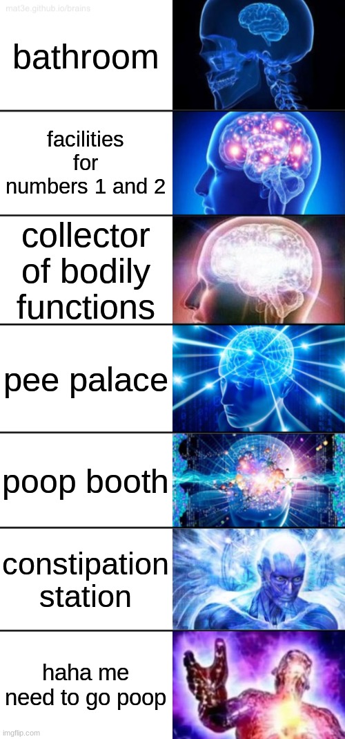 7-Tier Expanding Brain | bathroom; facilities for numbers 1 and 2; collector of bodily functions; pee palace; poop booth; constipation station; haha me need to go poop | image tagged in 7-tier expanding brain,big brain,expanding brain,expanding brain meme,bathroom,bathrooms | made w/ Imgflip meme maker