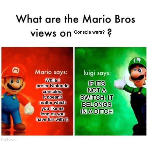 Mario vs luigi | Console wars? While I prefer Nintendo consoles, it doesn’t matter which you like as long as you have fun with it. IF ITS NOT A SWITCH, IT BELONGS IN A DITCH | image tagged in mario vs luigi | made w/ Imgflip meme maker