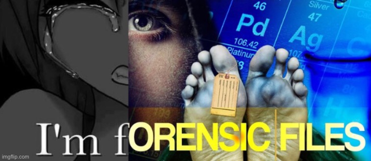 I’m forensic files | image tagged in meme,funny,memes,forensic files,im fine,im f- | made w/ Imgflip meme maker