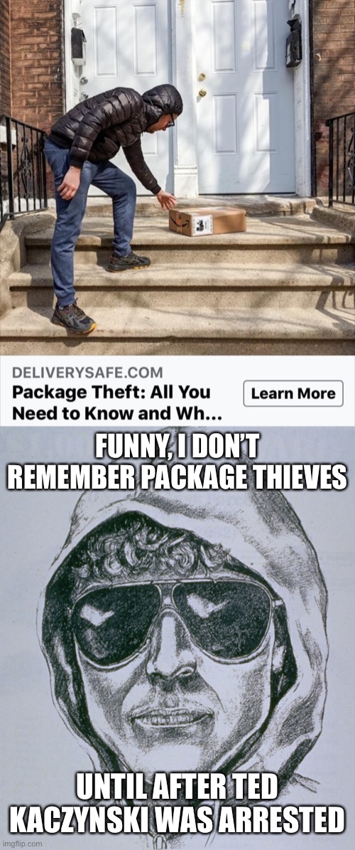 Free The Unabomber? | FUNNY, I DON’T REMEMBER PACKAGE THIEVES; UNTIL AFTER TED KACZYNSKI WAS ARRESTED | image tagged in package thieves,unabomber,ted kaczynski | made w/ Imgflip meme maker