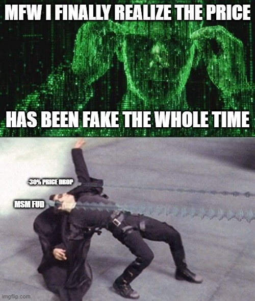 The game is up, DTCC. We know it's all fake, nothing scares us anymore. | MFW I FINALLY REALIZE THE PRICE; HAS BEEN FAKE THE WHOLE TIME; -30% PRICE DROP; MSM FUD | image tagged in matrix neo,neo dodging a bullet matrix | made w/ Imgflip meme maker