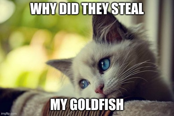 give them back :( | WHY DID THEY STEAL; MY GOLDFISH | image tagged in memes,first world problems cat | made w/ Imgflip meme maker