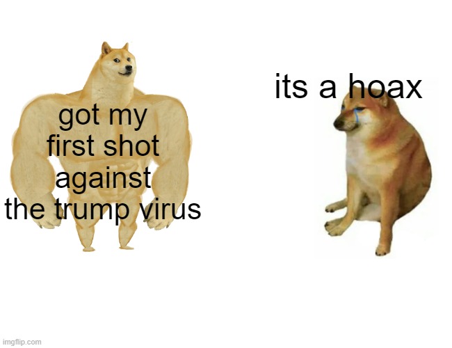 Buff Doge vs. Cheems | its a hoax; got my first shot against the trump virus | image tagged in memes,buff doge vs cheems,covid19,wear a mask,maga | made w/ Imgflip meme maker