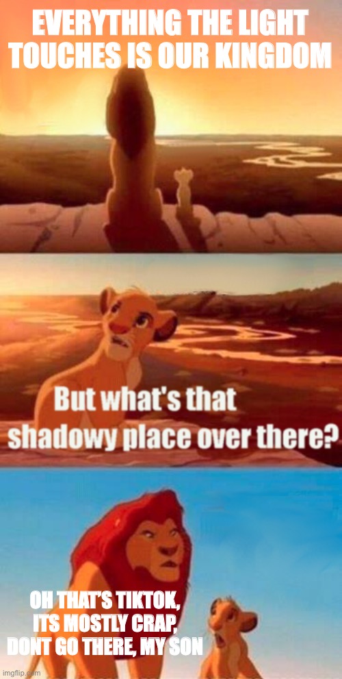 You’re not gonna find much good content | EVERYTHING THE LIGHT TOUCHES IS OUR KINGDOM; OH THAT’S TIKTOK, ITS MOSTLY CRAP, DONT GO THERE, MY SON | image tagged in memes,simba shadowy place | made w/ Imgflip meme maker