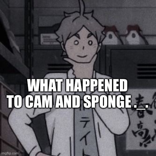 Hmmm | WHAT HAPPENED TO CAM AND SPONGE ._. | image tagged in hmmm | made w/ Imgflip meme maker