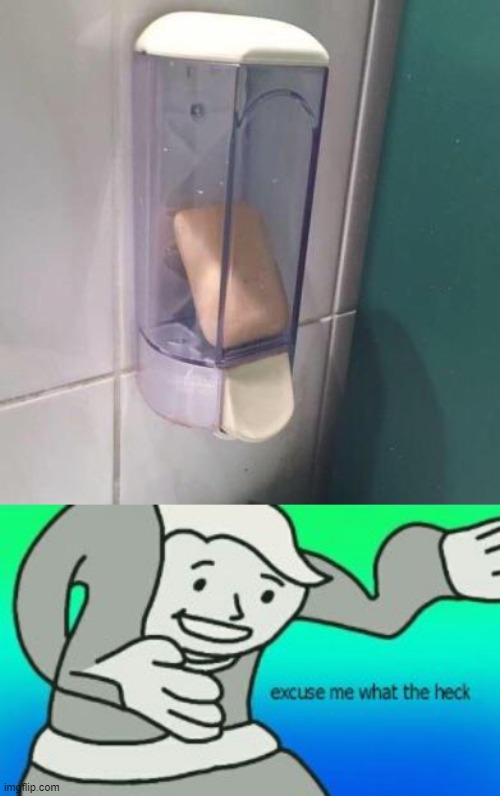...the hell? | image tagged in excuse me what the heck,stupid,memes,bruh,restroom | made w/ Imgflip meme maker