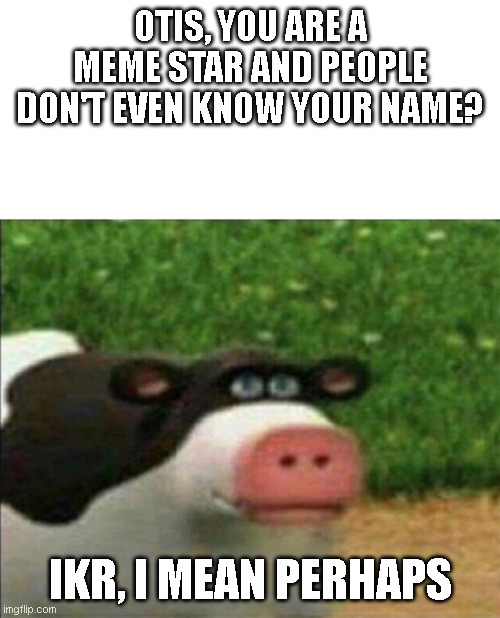 Perhaps cow | OTIS, YOU ARE A MEME STAR AND PEOPLE DON'T EVEN KNOW YOUR NAME? IKR, I MEAN PERHAPS | image tagged in perhaps cow | made w/ Imgflip meme maker