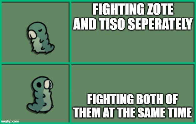 Just for those hollow knight fans who think Tiso and Zote deserve better | FIGHTING ZOTE AND TISO SEPERATELY; FIGHTING BOTH OF THEM AT THE SAME TIME | image tagged in hollow knight grub | made w/ Imgflip meme maker