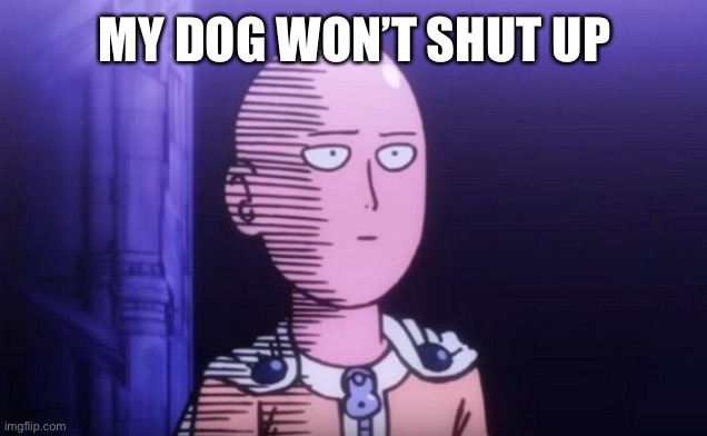 Ya lil shit | MY DOG WON’T SHUT UP | image tagged in wot | made w/ Imgflip meme maker