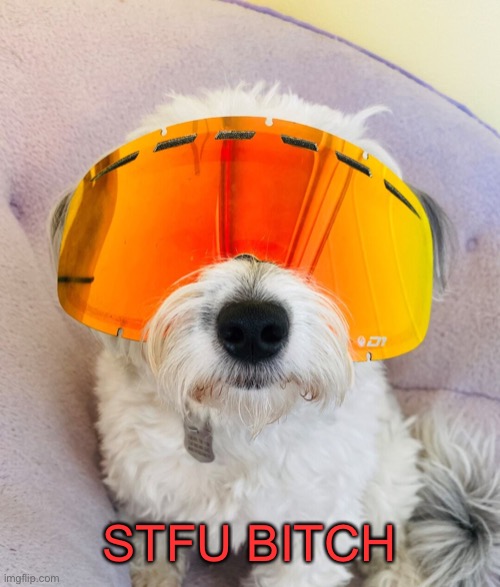 STFU BITCH | made w/ Imgflip meme maker