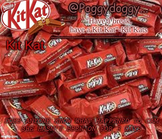 Poggydoggy temp | DOES ANYONE KNOW WHAT HAPPENED TO CAM
SHE HASN’T BEEN ON FOR 3 DAYS | image tagged in poggydoggy temp | made w/ Imgflip meme maker