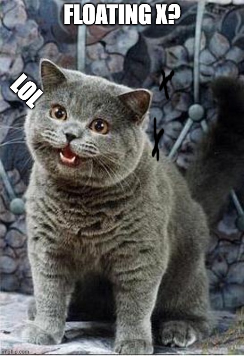 I can has cheezburger cat | FLOATING X? LOL | image tagged in i can has cheezburger cat | made w/ Imgflip meme maker
