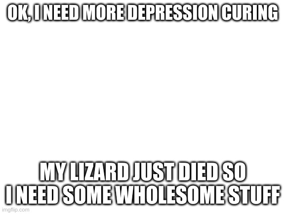 Blank White Template | OK, I NEED MORE DEPRESSION CURING; MY LIZARD JUST DIED SO I NEED SOME WHOLESOME STUFF | image tagged in blank white template | made w/ Imgflip meme maker