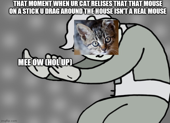 Hol up | THAT MOMENT WHEN UR CAT RELISES THAT THAT MOUSE ON A STICK U DRAG AROUND THE HOUSE ISN'T A REAL MOUSE; MEE OW (HOL UP) | image tagged in hol up | made w/ Imgflip meme maker