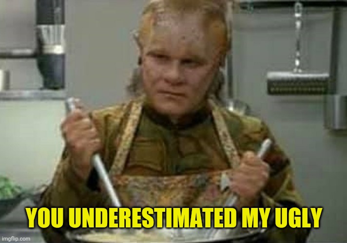 Neelix Angry | YOU UNDERESTIMATED MY UGLY | image tagged in neelix angry | made w/ Imgflip meme maker