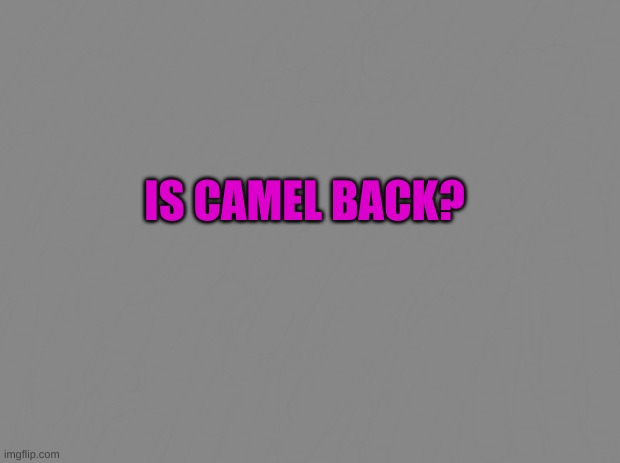 IS CAMEL BACK?! | IS CAMEL BACK? | image tagged in where are you camel | made w/ Imgflip meme maker