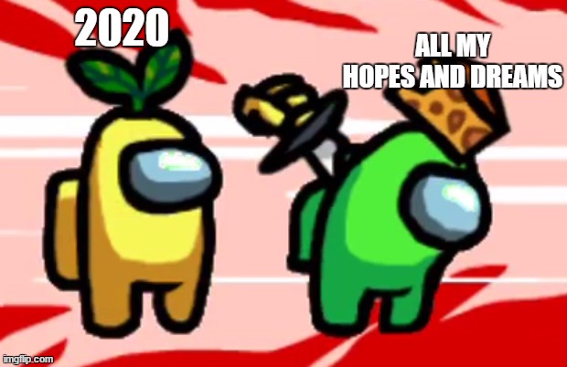 Among Us Stab | ALL MY HOPES AND DREAMS; 2020 | image tagged in among us stab | made w/ Imgflip meme maker