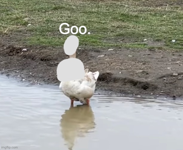 Goo. as a goose | Goo. | made w/ Imgflip meme maker