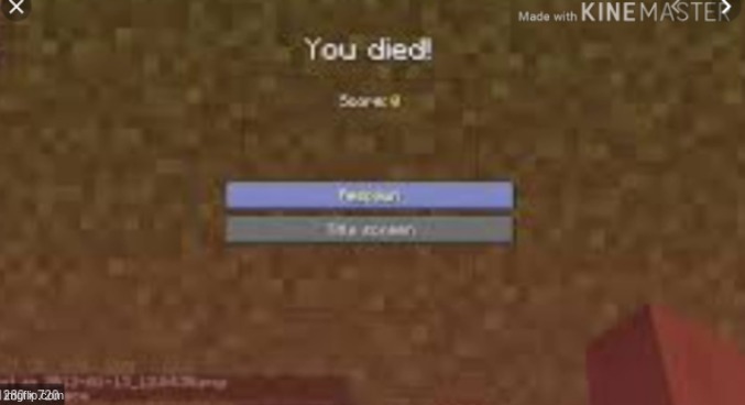 you died | image tagged in you died | made w/ Imgflip meme maker