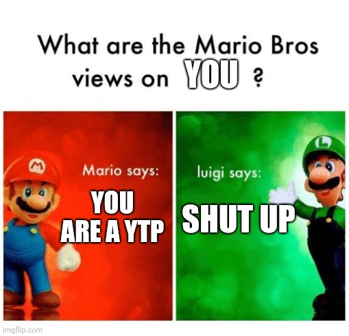 Mario says Luigi says | YOU; YOU ARE A YTP; SHUT UP | image tagged in mario says luigi says | made w/ Imgflip meme maker