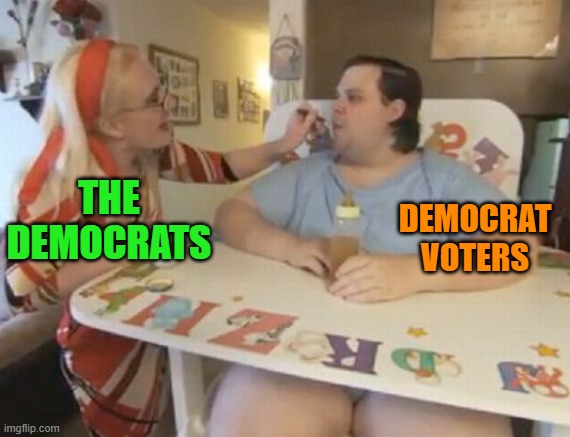 The babies will soon get what they've been asking for. | DEMOCRAT VOTERS; THE DEMOCRATS | image tagged in big baby | made w/ Imgflip meme maker