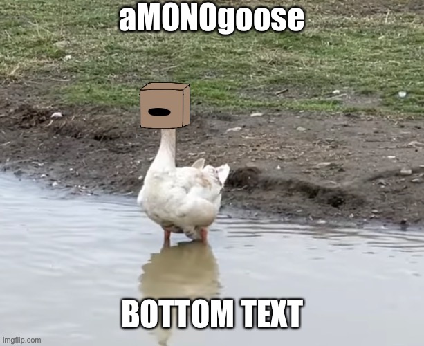 aMONOgoose; BOTTOM TEXT | made w/ Imgflip meme maker