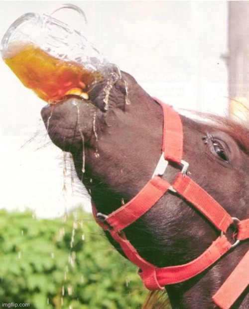thristy horse | image tagged in thristy horse | made w/ Imgflip meme maker