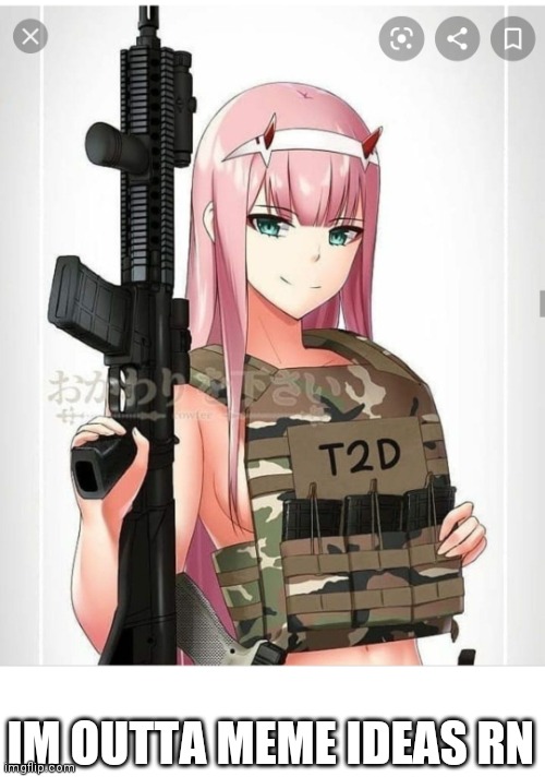 2nd amendment zero two | IM OUTTA MEME IDEAS RN | image tagged in 2nd amendment zero two | made w/ Imgflip meme maker