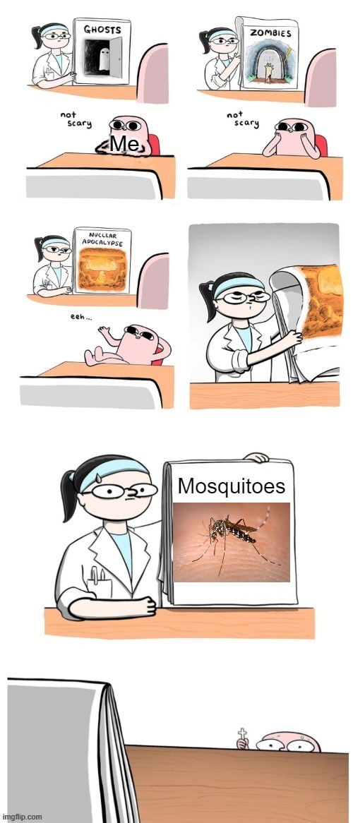 Not Scary | Me; Mosquitoes | image tagged in not scary,mosquitoes,mosquito,fear | made w/ Imgflip meme maker