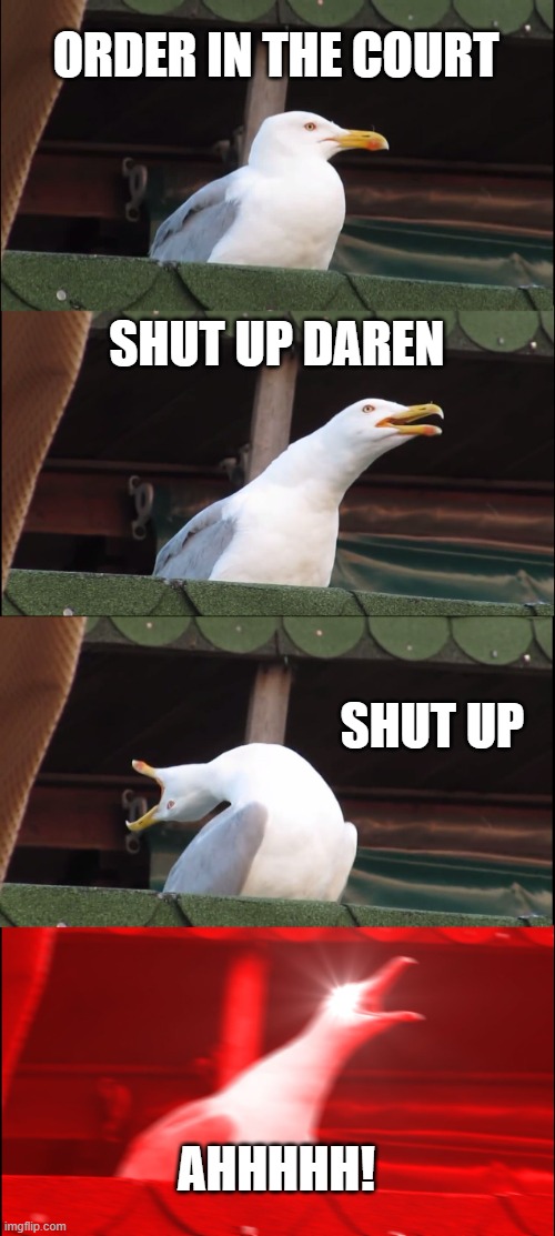 ahhhh! | ORDER IN THE COURT; SHUT UP DAREN; SHUT UP; AHHHHH! | image tagged in memes,inhaling seagull | made w/ Imgflip meme maker