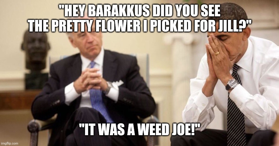 CBS Evening News praised Joe Biden picking a dandelion for Jill today. | "HEY BARAKKUS DID YOU SEE THE PRETTY FLOWER I PICKED FOR JILL?"; "IT WAS A WEED JOE!" | image tagged in joe biden obama facepalm,flower,dandelion,weed | made w/ Imgflip meme maker