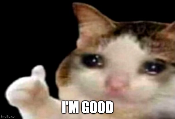 I'm good | I'M GOOD | image tagged in sad cat thumbs up | made w/ Imgflip meme maker
