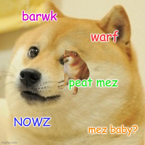 barwk warf peat mez NOWZ mez baby? | image tagged in memes,doge | made w/ Imgflip meme maker