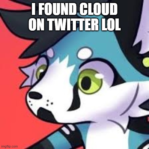 THIS WAS A TWITTER PSOT IN MY TIMELINE XD | I FOUND CLOUD ON TWITTER LOL | made w/ Imgflip meme maker