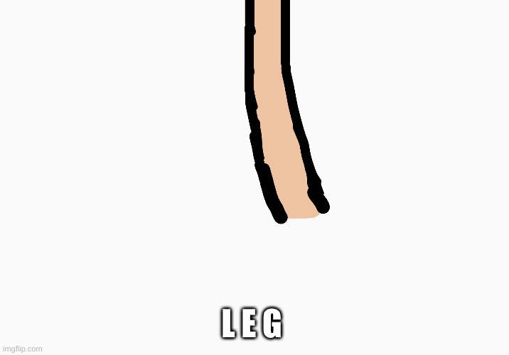 L E G | made w/ Imgflip meme maker