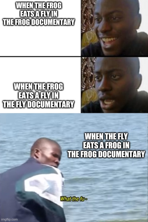 WHEN THE FROG EATS A FLY IN THE FROG DOCUMENTARY; WHEN THE FROG EATS A FLY IN THE FLY DOCUMENTARY; WHEN THE FLY EATS A FROG IN THE FROG DOCUMENTARY | image tagged in oh yeah oh no,what the fu- | made w/ Imgflip meme maker