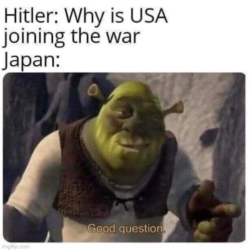 lol technically though Hitler declared war on the U.S. (yes I’m that guy who pokes holes in his own meme) | image tagged in repost,japan,wwii,world war 2,war,shrek good question | made w/ Imgflip meme maker