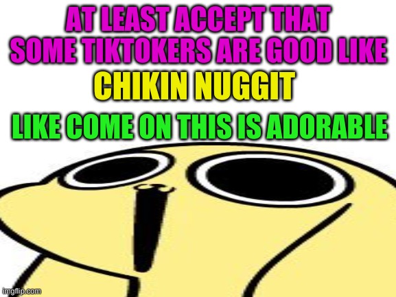 chikin nuggit | AT LEAST ACCEPT THAT SOME TIKTOKERS ARE GOOD LIKE; CHIKIN NUGGIT; LIKE COME ON THIS IS ADORABLE | image tagged in chikin nuggit | made w/ Imgflip meme maker