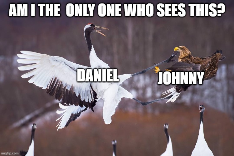 karate kid irl | AM I THE  ONLY ONE WHO SEES THIS? DANIEL; JOHNNY | image tagged in crane kick | made w/ Imgflip meme maker